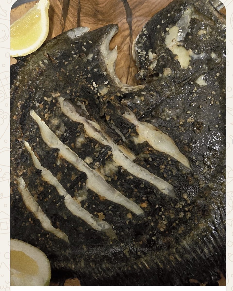 Grilled Turbot